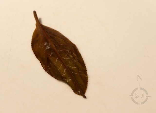 a-single-leaf-from-a-what-cha-jingmai-unroasted-oolong-dragon-ball
